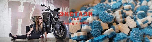 apvp Вяземский