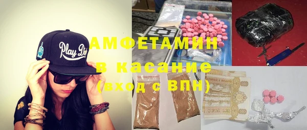 гашик Верея