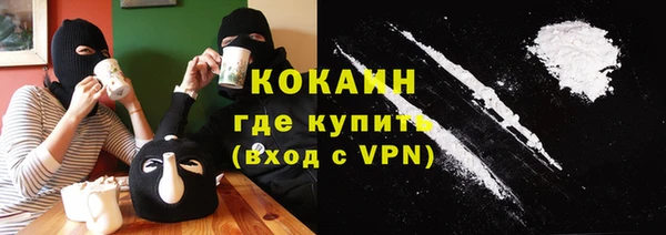 гашик Верея