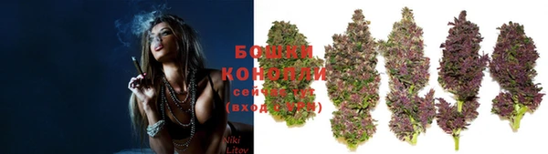 гашик Верея