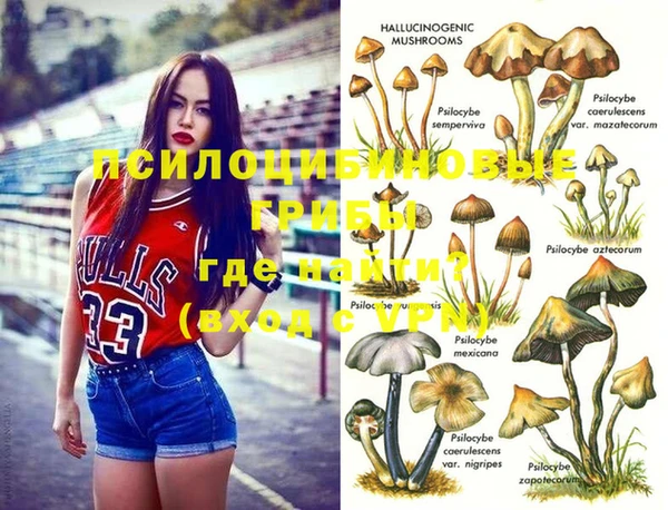apvp Вяземский