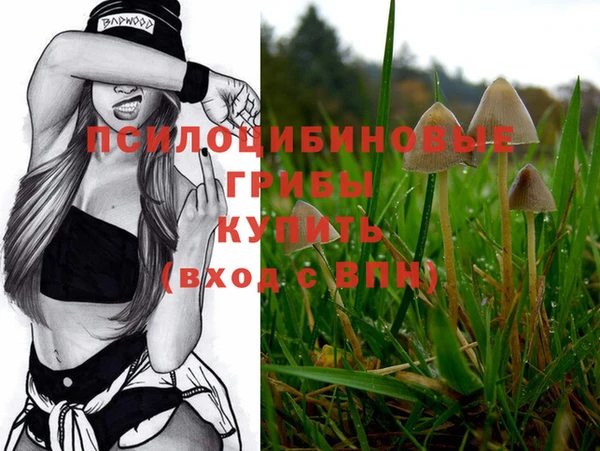 MDMA Premium VHQ Верхний Тагил