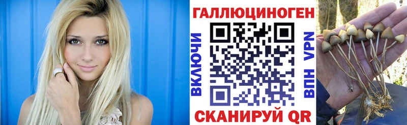 Галлюциногенные грибы Psilocybine cubensis  Янаул 